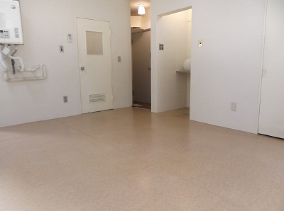 Living and room. Living