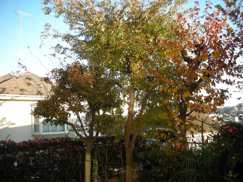 View photos from the dwelling unit. View from the site (November 2013) Shooting