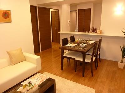 Living. Indoor (12 May 2013) Shooting