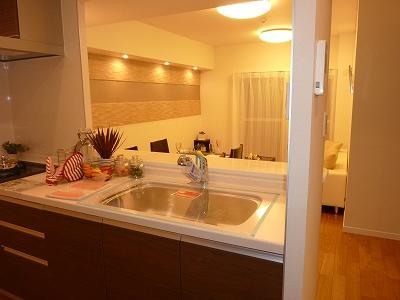 Kitchen. Indoor (12 May 2013) Shooting