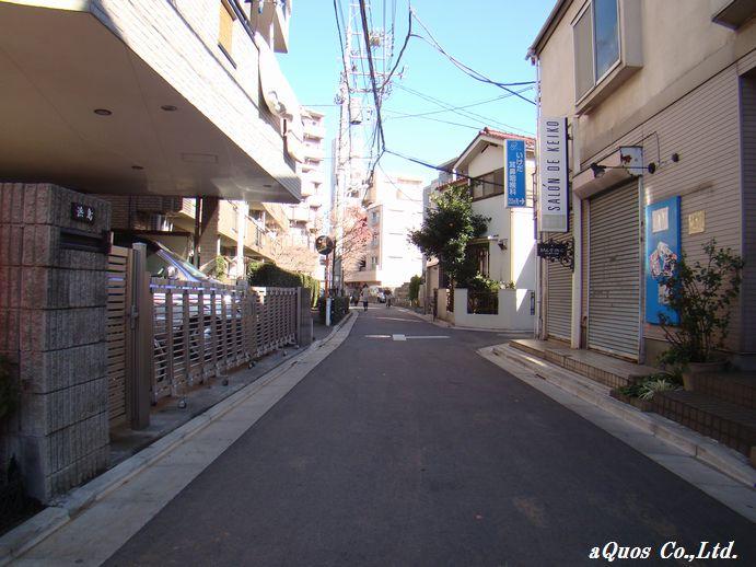 Local photos, including front road. Local (12 May 2013) Shooting