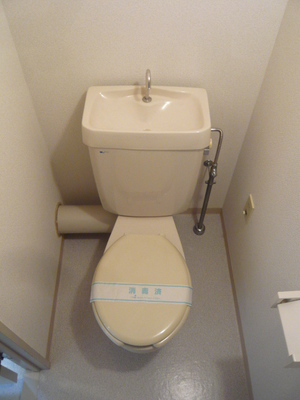 Toilet. Toilet