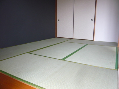 Living and room. Room 1