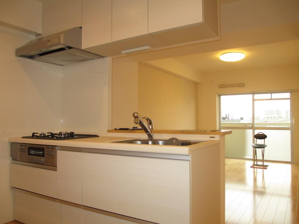 Kitchen. Indoor (11 May 2013) Shooting