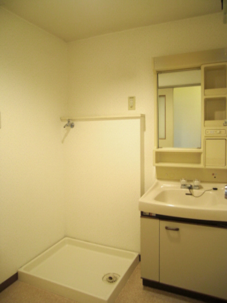 Washroom. Independent wash basin and washing machine inside the room