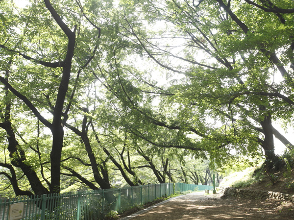 Surrounding environment. Kaga park (7 min walk / About 470m)