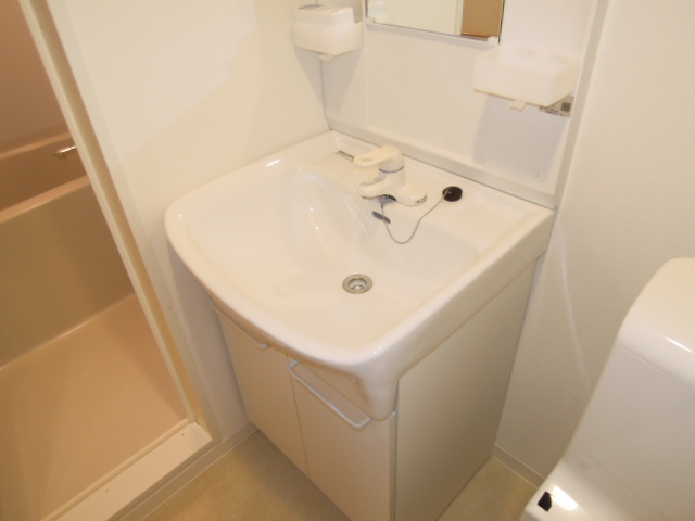 Washroom. Shampoo dresser