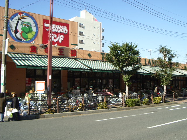 Supermarket. Tsurukame land Takashimadaira store up to (super) 631m