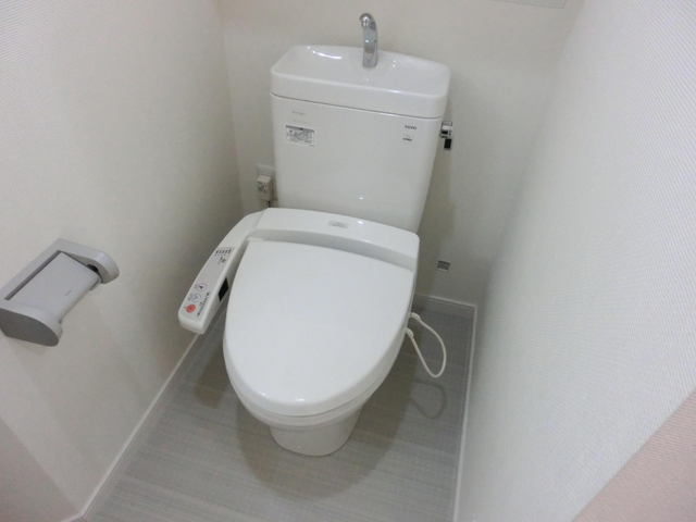 Toilet. Shower toilet