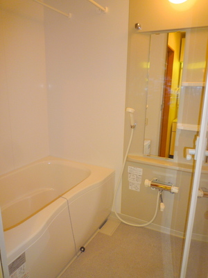 Bath. Fully-equipped bathroom dryer Reheating