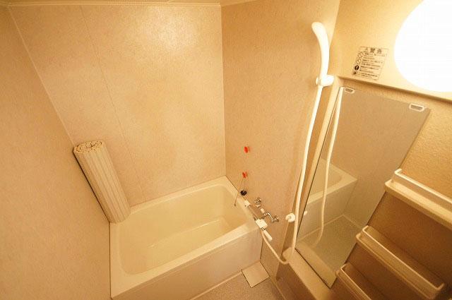 Bathroom. Indoor (10 May 2013) Shooting