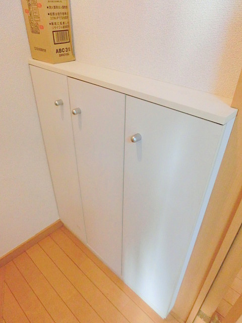 Other Equipment. Shoe box