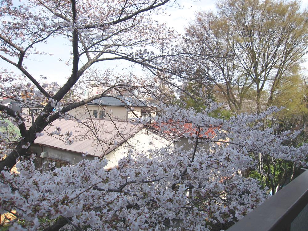 View photos from the dwelling unit. View (Spring)