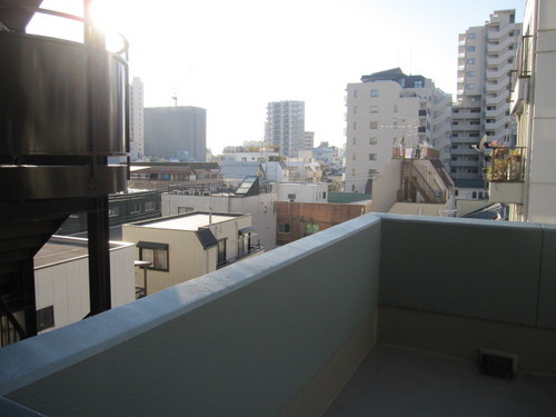 View. View from the roof balcony