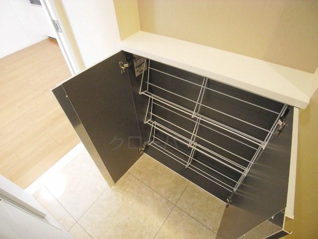 Entrance. Footwear purse