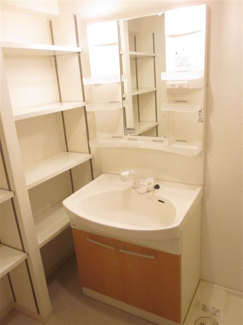 Washroom. Washbasin with shower