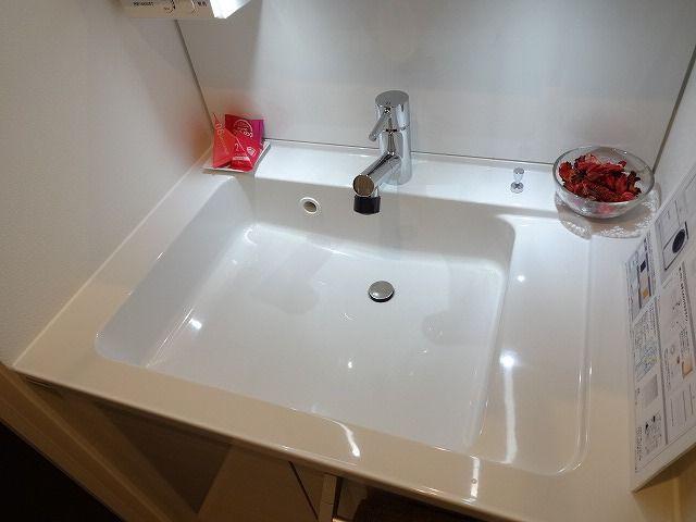 Wash basin, toilet. Bathroom vanity