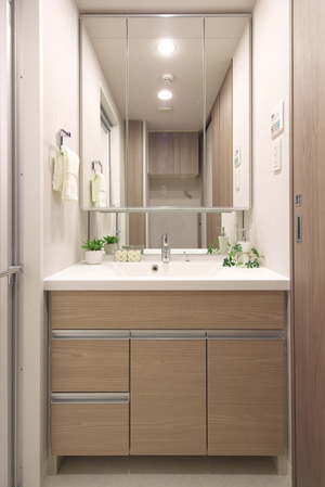 Bathing-wash room. NEW