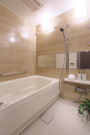 Bathing-wash room. NEW