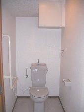 Toilet. Spread of toilet ・ Receipt, With handrail