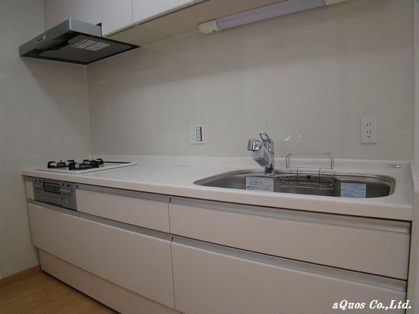 Kitchen. Indoor (12 May 2013) Shooting