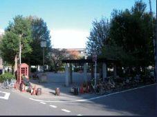 Other local. Narimasu park