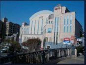 Other local. Seiyu Narimasu shop