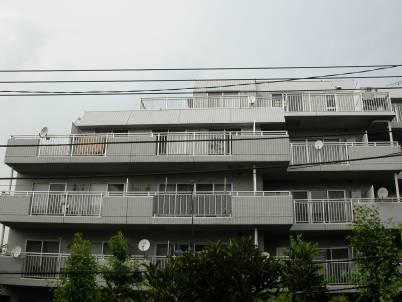 Local appearance photo. Local (April 2013) Shooting