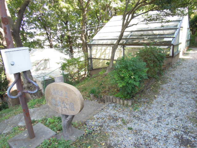 park. 226m until the insect park (park)