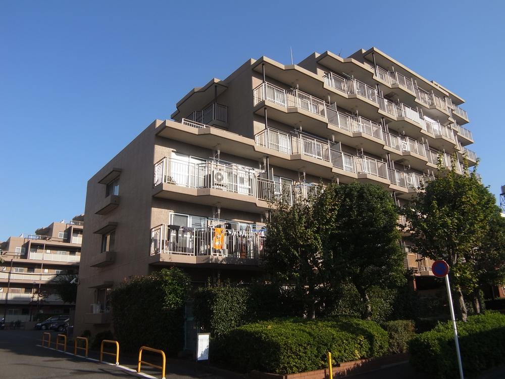 Local appearance photo. Local (11 May 2013) Shooting