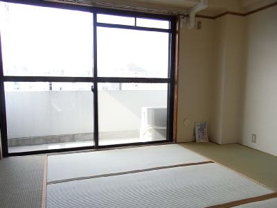 Living and room. Day good!