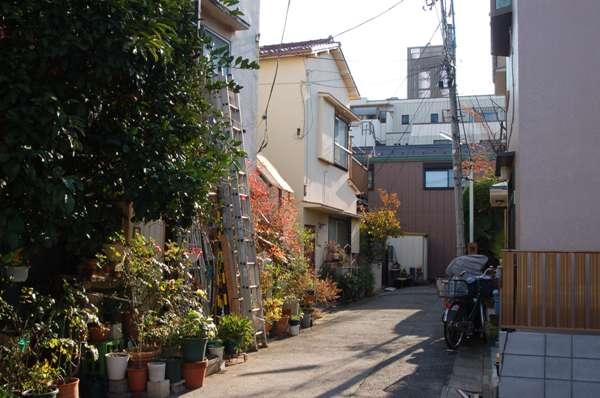 Local photos, including front road