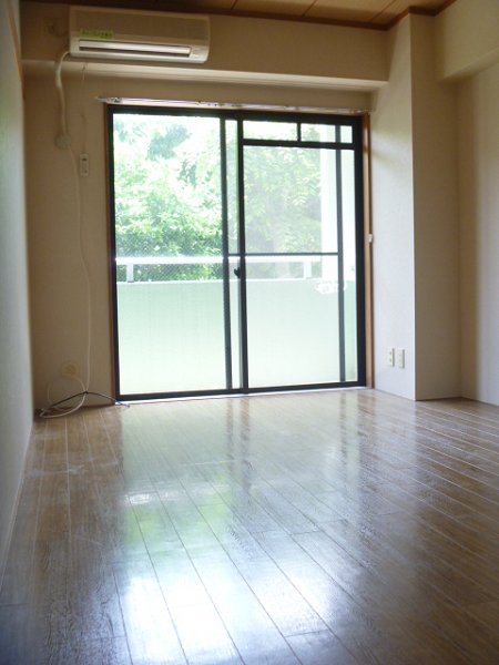 Other. Western-style (2)