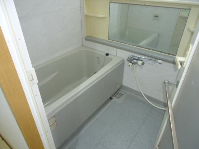 Bathroom. Room (August 2013) Shooting