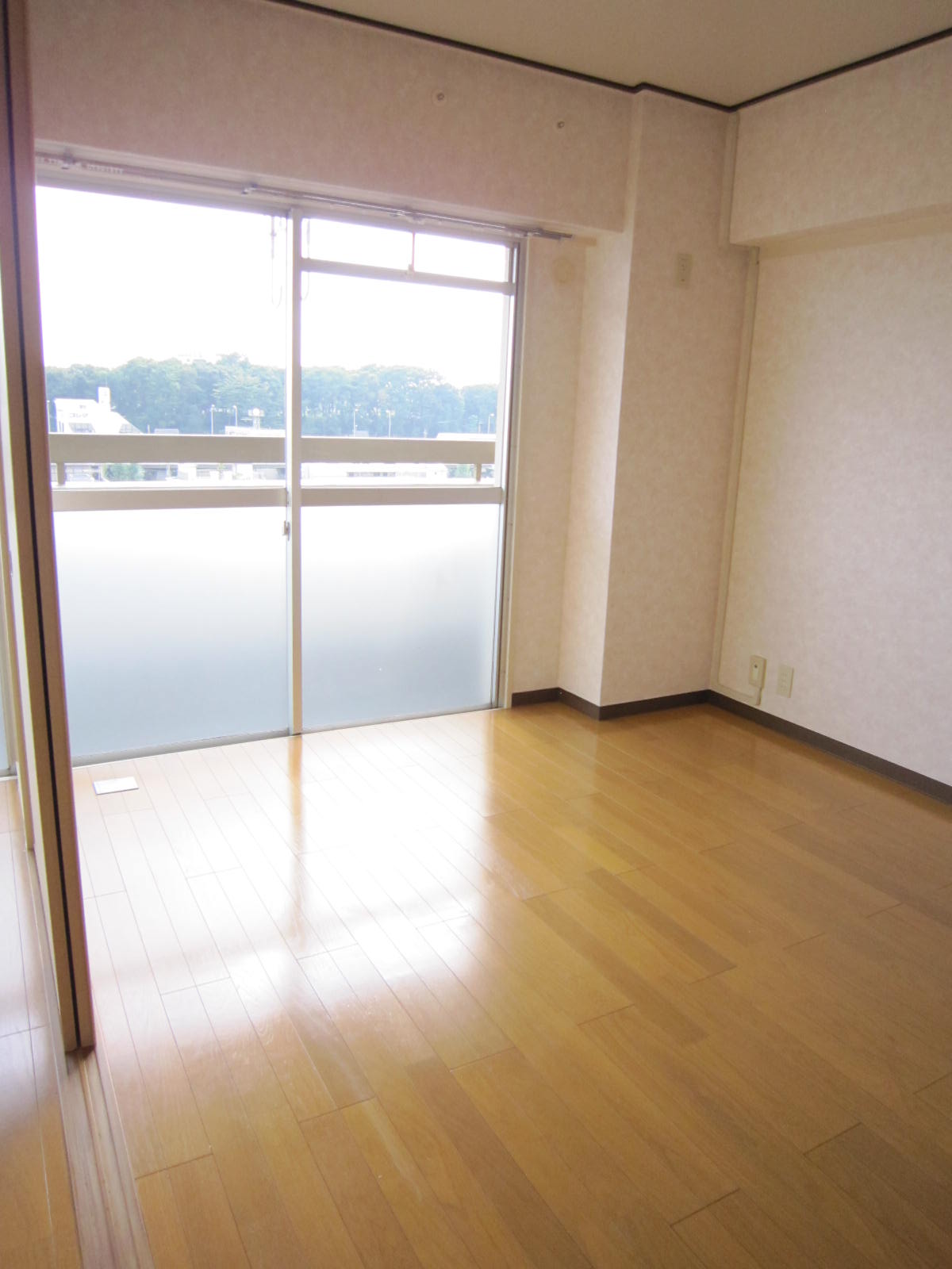 Living and room. South-facing Western-style