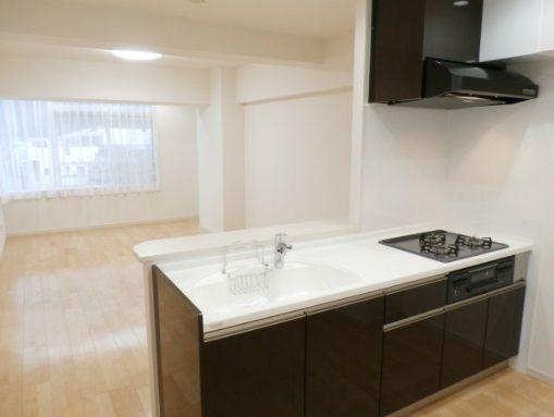 Kitchen. ~ New interior full renovation ~ System kitchen of state-of-the-art amenities