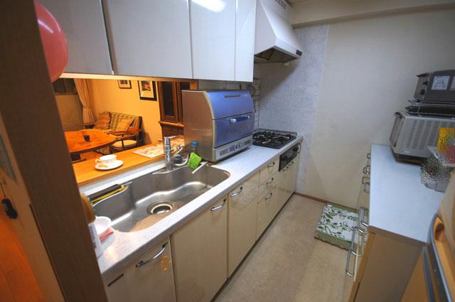 Kitchen. Indoor (11 May 2013) Shooting