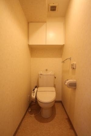 Toilet. Indoor (11 May 2013) Shooting