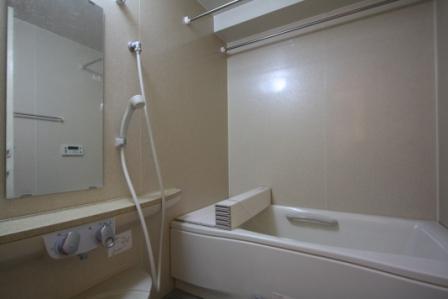 Bathroom. Indoor (11 May 2013) Shooting