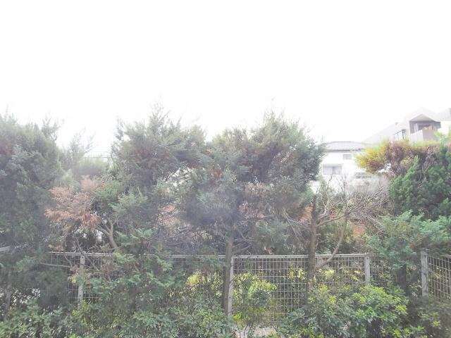 View photos from the dwelling unit. View from the balcony