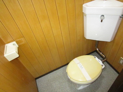 Toilet. Toilet