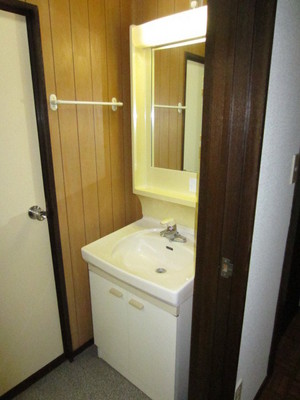 Washroom. Independent wash basin