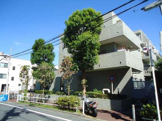 Local appearance photo