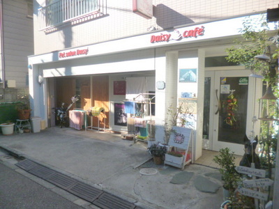 Other. Pet Salon 507m to Daisy (Other)