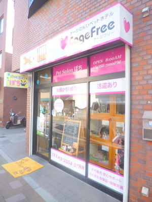 Other. Pet Salon Poti until the (other) 539m