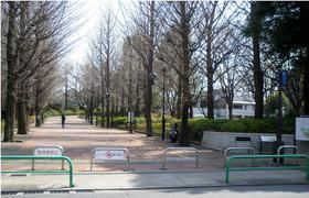 park. Johoku 1000m up to Central Park (park)