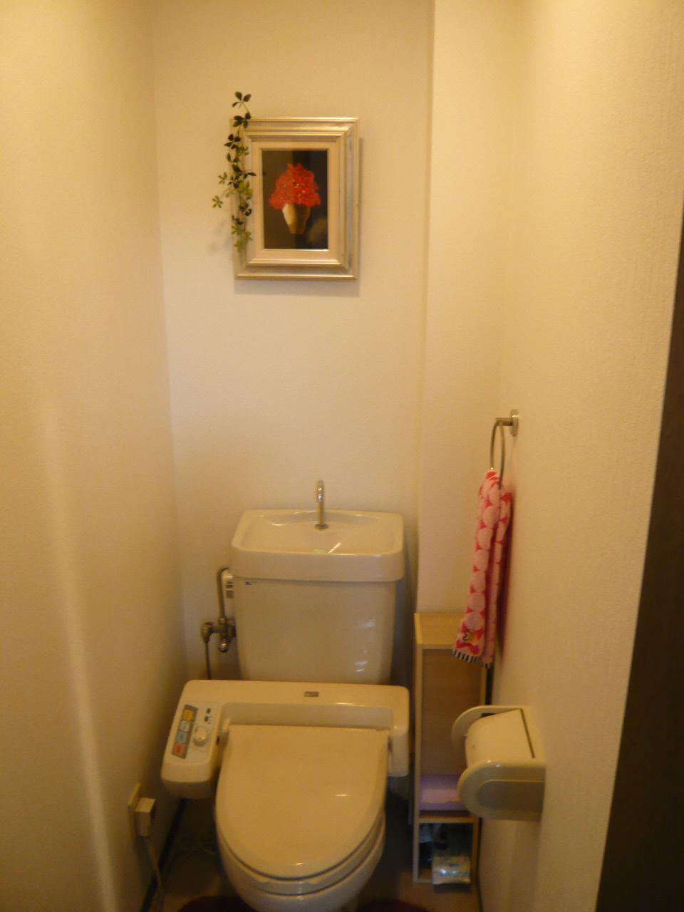 Toilet. Indoor (12 May 2013) Shooting