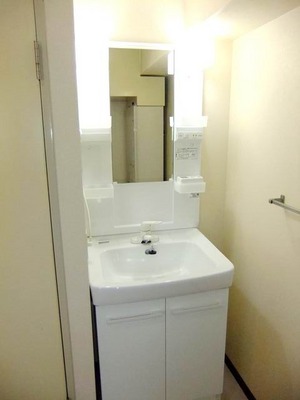 Washroom. Bathroom vanity