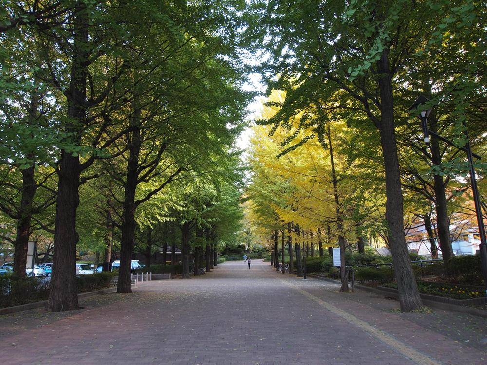 park. Johoku to Central Park 450m