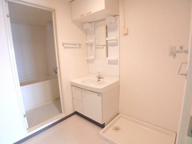 Washroom. Independent wash basin will come in handy to get dressed in the morning.